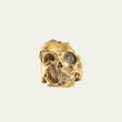 Load image into Gallery viewer, AFRICAN MISFIT RING